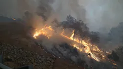 The Camp Fire in Butte County, CA, grew to over 20,000 acres in less than a day. The Camp Fire in Butte County, CA, grew to over 20,000 acres in less than a day.