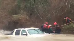 Temple firefighters rescue an elderly driver from his truck after he was swept downstream while trying to navigate a low water crossing. Temple firefighters rescue an elderly driver from his truck after he was swept downstream while trying to navigate a low water crossing.