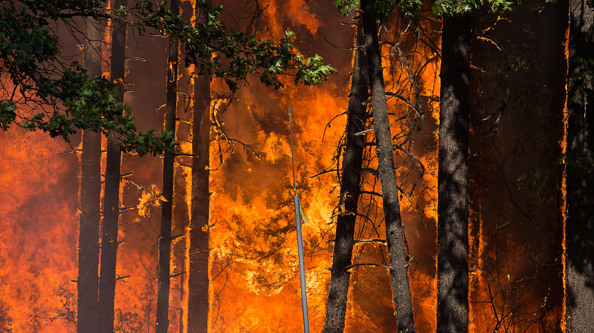 Firefighters battle a Carr fire flare-up near Buckhorn Summit, CA, on July 30, 2018.