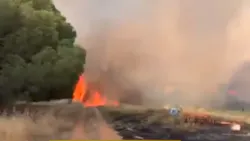 Hundreds of firefighters battle wildfires and record-breaking temperatures in the south of France. Hundreds of firefighters battle wildfires and record-breaking temperatures in the south of France.