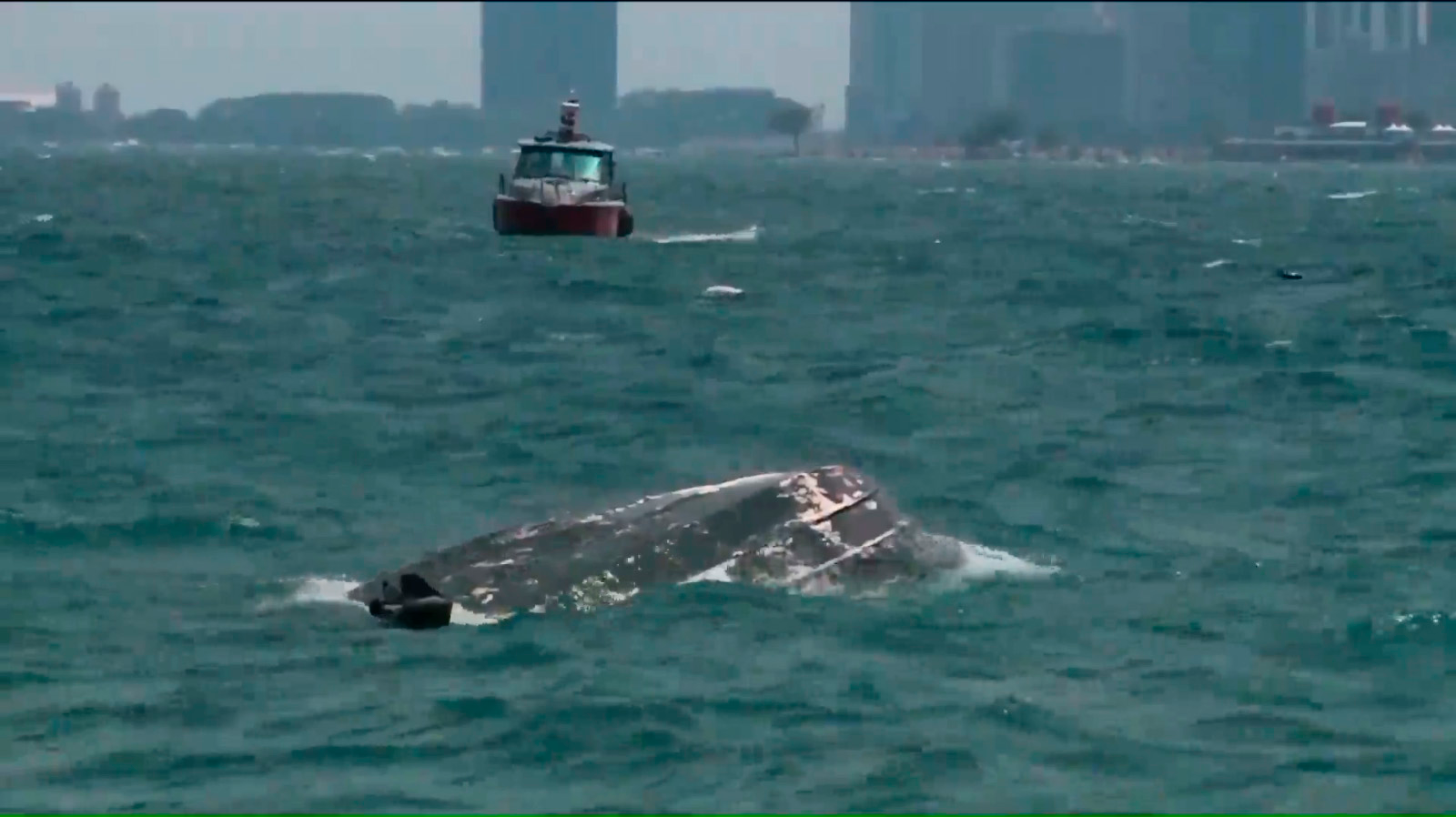 Boat Capsizes 5d21e77e9f247