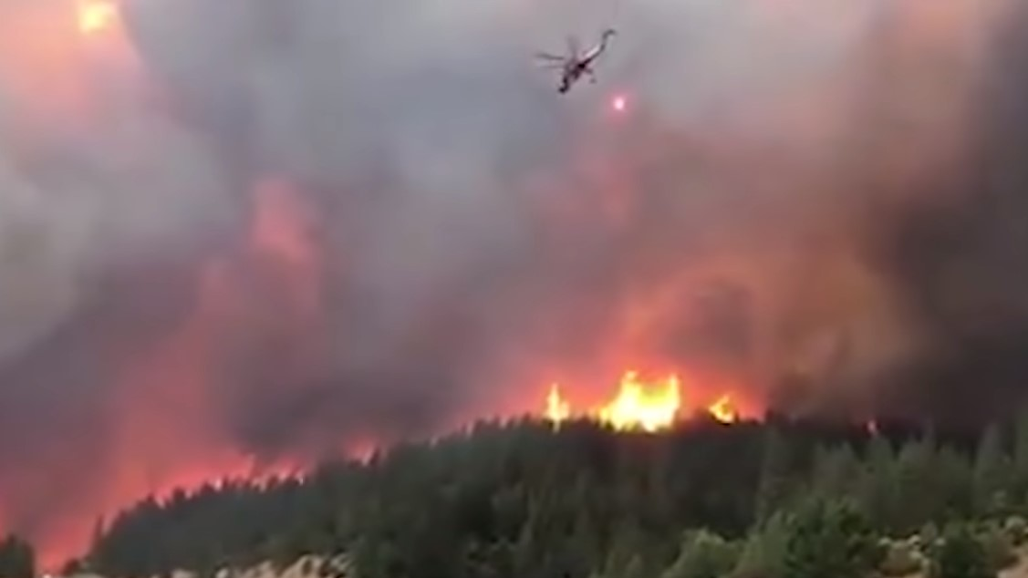 A Dunsmuir, CA, was sentenced to probation and fined for threatening to shoot down firefighting helicopters deployed during last year's Delta Fire.