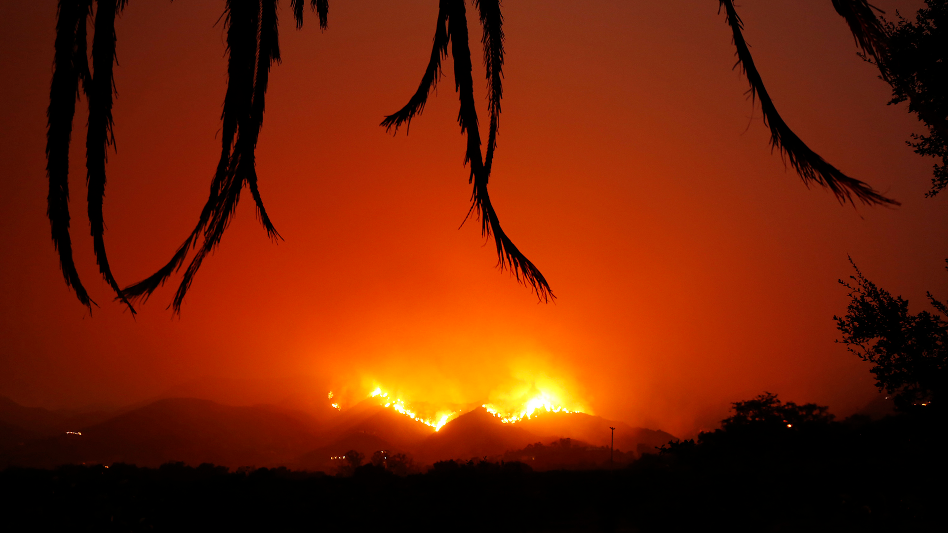 The Thomas wildfire burns back down the hill behind East Valley Road by Ladera Lane near Toro Canyon in Montecito, CA, on Dec. 12, 2017