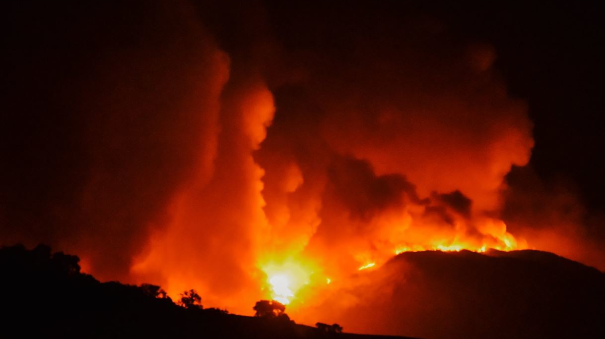 Kincade2 5db5ad6259cd3