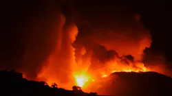 Kincade2 5db5ad6259cd3 Kincade2 5db5ad6259cd3