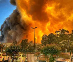 Ozzie 5dc6f374a0287 Ozzie 5dc6f374a0287