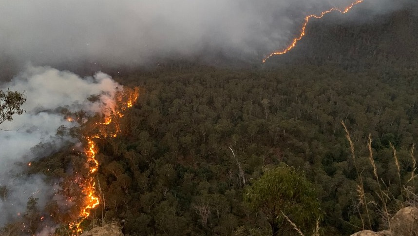 Ozzie2 5dfb9007bcc70