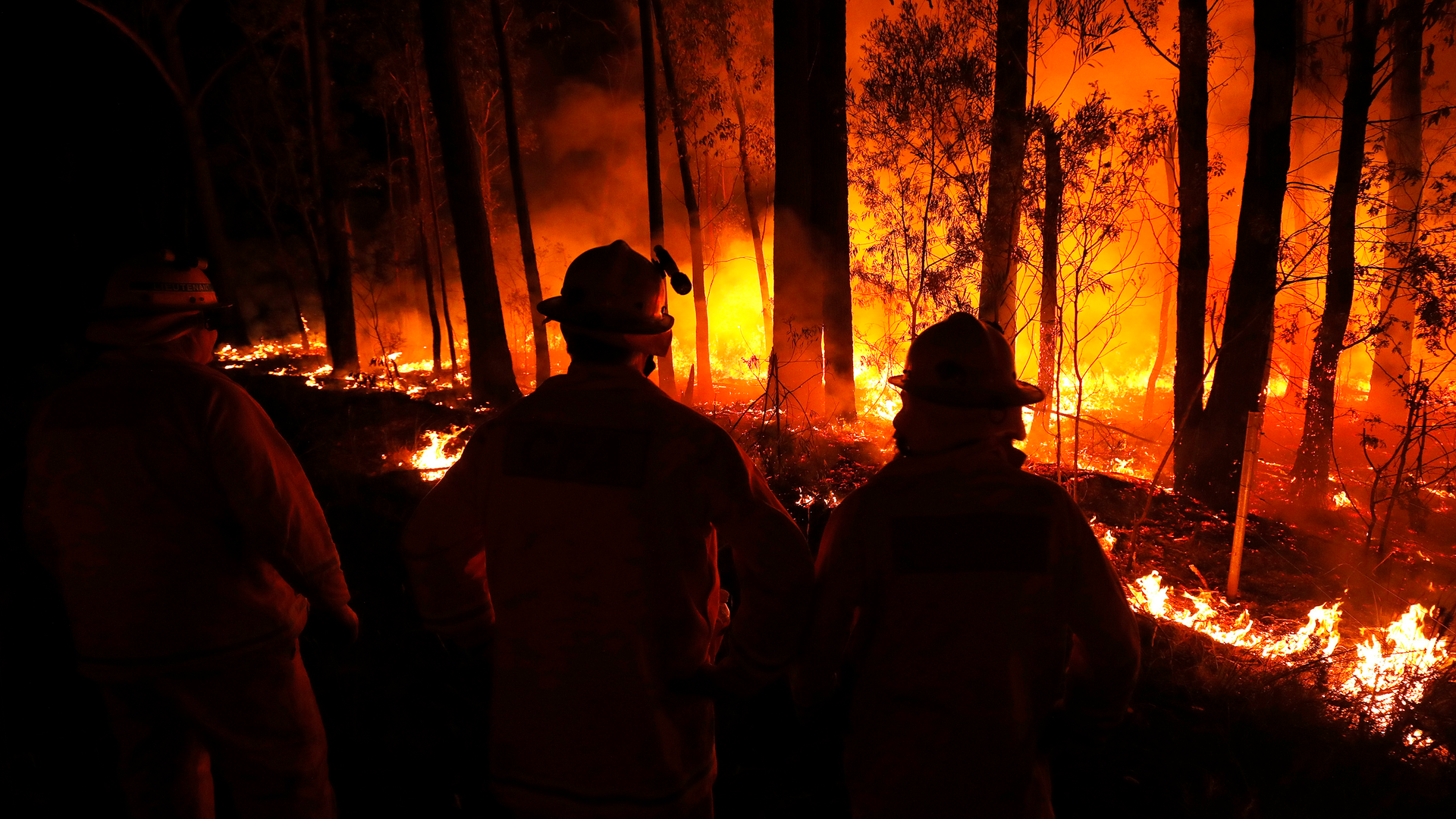 CFA Country Fire Authority crews monitor fires and begin back burns between the towns of Orbost and Lakes Entrance in east Gipplsland on Jan 2, 2020 in Australia.