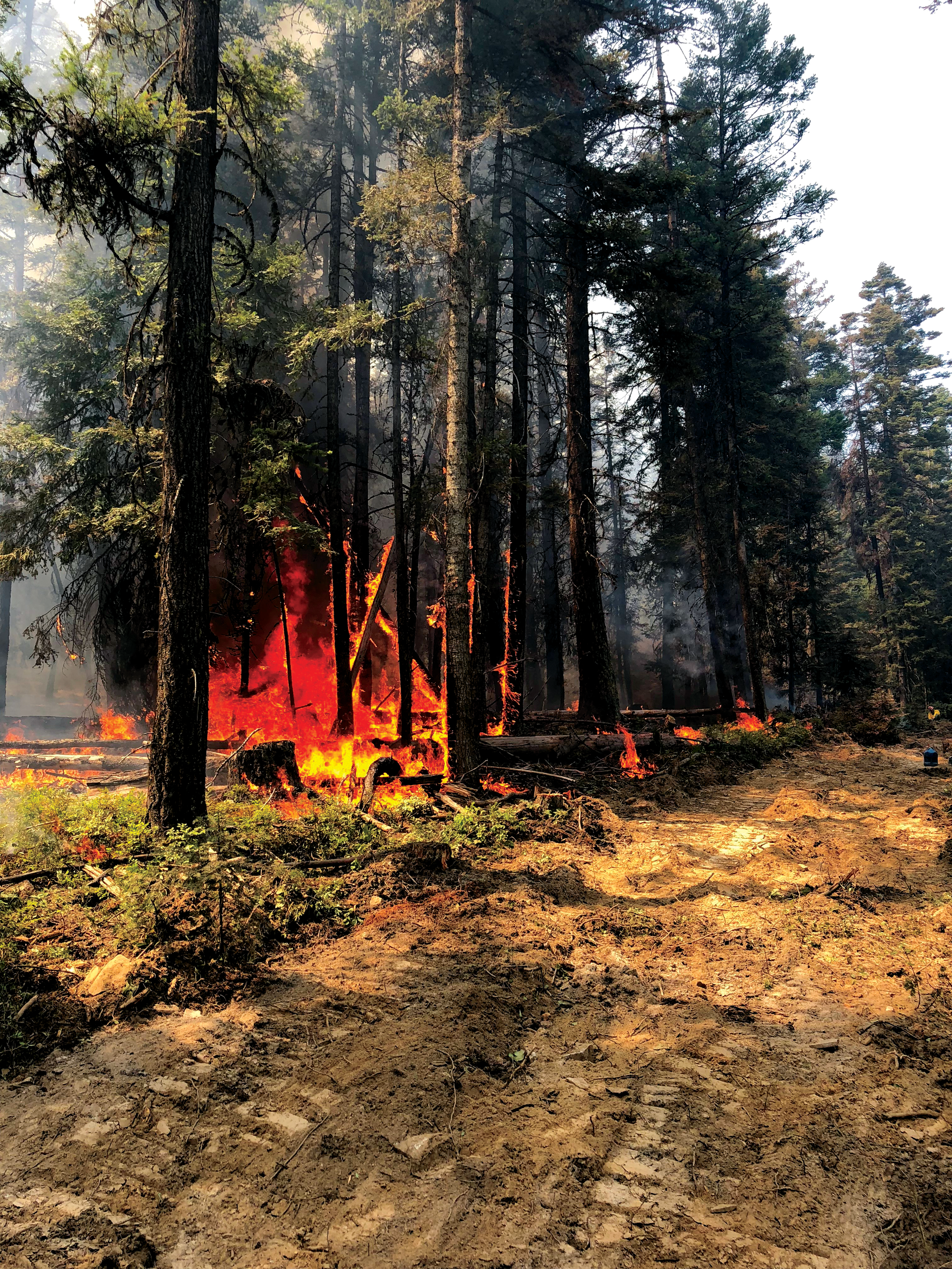 Back-burning helps to slow down a wildland fire, but it&rsquo;s very technical and only should be done by those who have training in the tactic. Photos by Mihku Sabattus