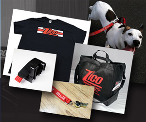 Ziamatic5 Days 5eb998696acc9