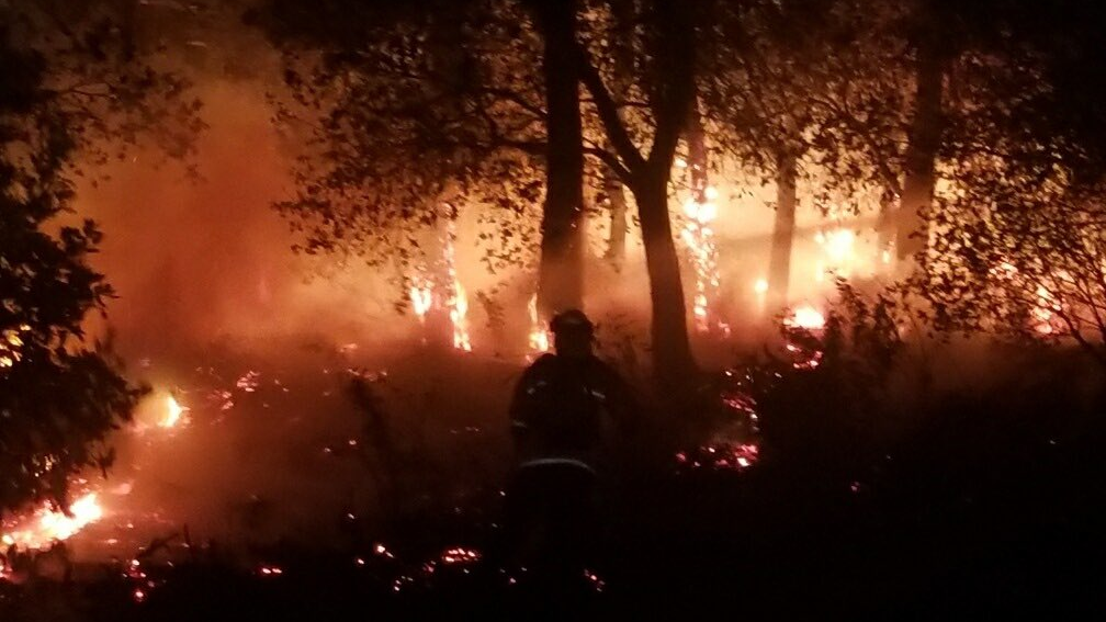 More than 50 Oakland, CA, firefighters extinguished a vegetation blaze caused by illegal fireworks early Sunday.