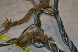 During testing in a laboratory, this new wire rope failed explosively. Not only did the strands come apart, but the fiber core of the rope frayed and is visible. The certificate of testing shows that failure for this 5/8-inch diameter EIPS fiber core wire rope occurred at 37,117 lbs. of pull. During testing in a laboratory, this new wire rope failed explosively. Not only did the strands come apart, but the fiber core of the rope frayed and is visible. The certificate of testing shows that failure for this 5/8-inch diameter EIPS fiber core wire rope occurred at 37,117 lbs. of pull.