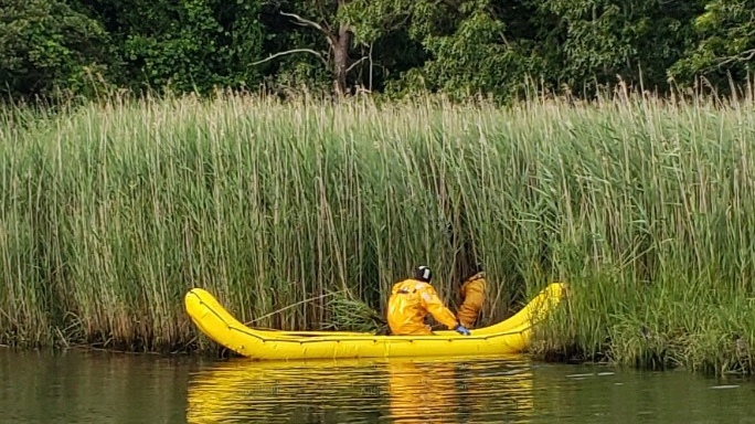 Centerville-Osterville-Marstons Mills firefighters deployed an inflatable 'banana boat' to rescue a woman stuck in mud and weeds at the end of the Herring River in Centerville on Wednesday.