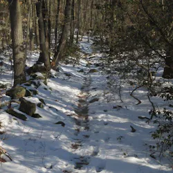 Footprints line a snow-covered trail in this 2016 photo taken at Sleeping Giant State Park in Connecticut, where calls for hiker rescues have doubled since pandemic stay-at-home orders were implemented. Footprints line a snow-covered trail in this 2016 photo taken at Sleeping Giant State Park in Connecticut, where calls for hiker rescues have doubled since pandemic stay-at-home orders were implemented.