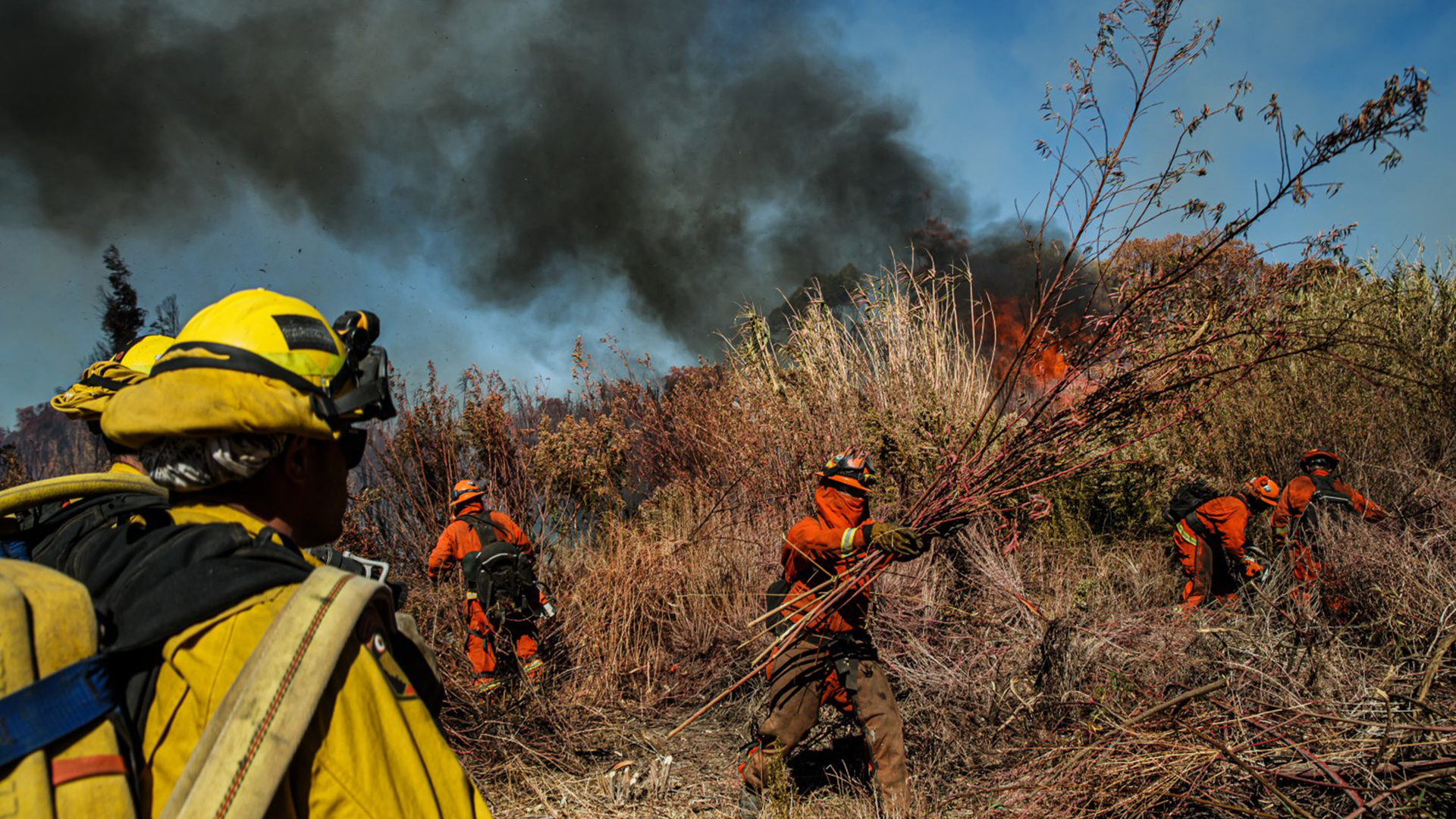 Inmate firefighters clear brush as they work to slow down the spread of the Maria Fire on the Santa Clara river bed, in Santa Paula, CA, on Nov. 1, 2019.