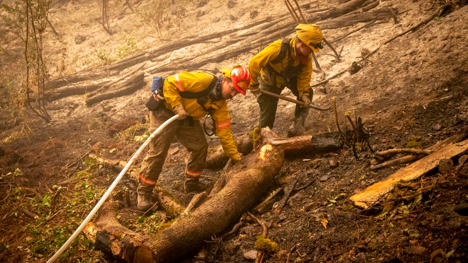 Firefighters work on mopping up a back burn near Leaburg, OR, on Sept. 10.