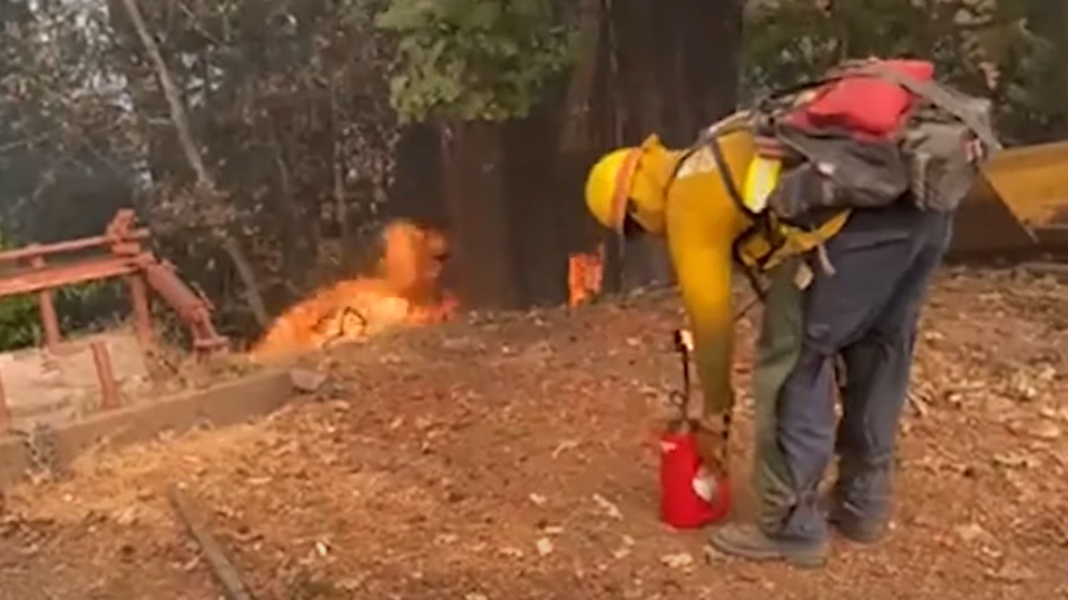 CAL FIRE is investigating private firefighters who allegedly set illegal backfires over the weekend to protect property from the Glass Fire.