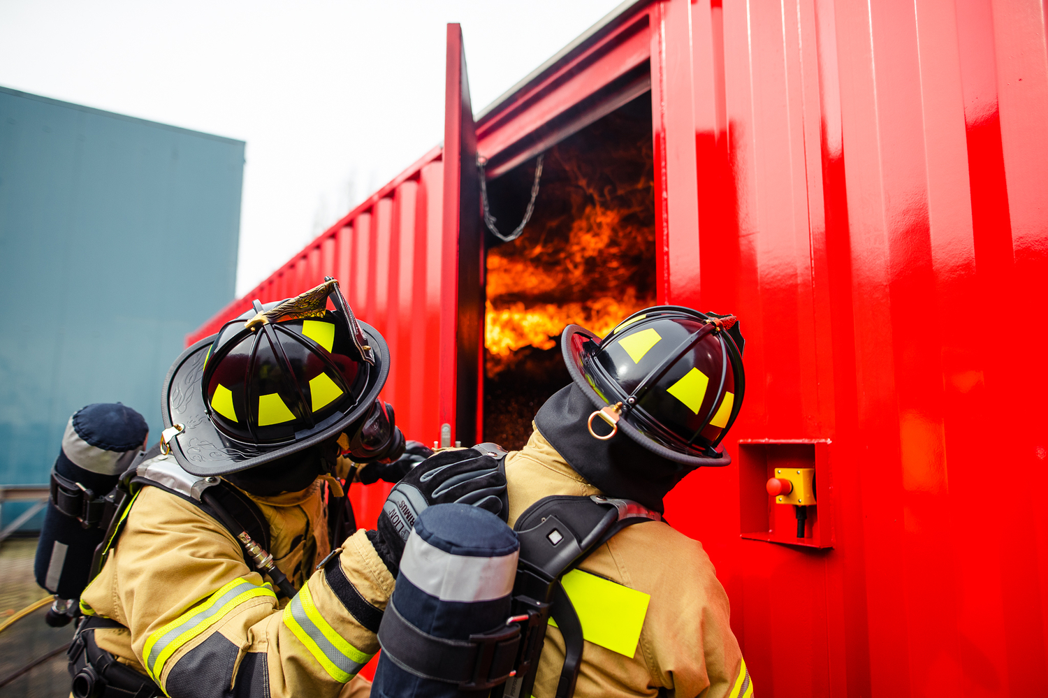 Lion Training Ready Container Systems