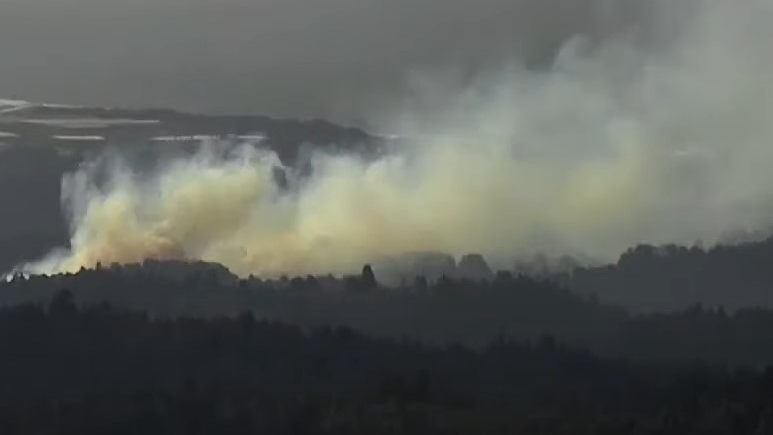 At least 20 wildfires have erupted in Santa Cruz and San Mateo counties since Monday, something that's unusual for January in California.