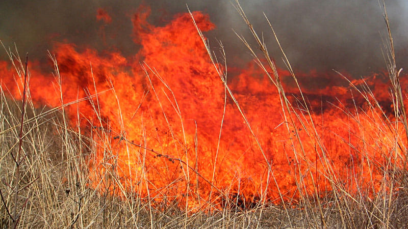 Multiple departments battled a grass fire that burned 880 acres near Richardton, ND, on Monday.