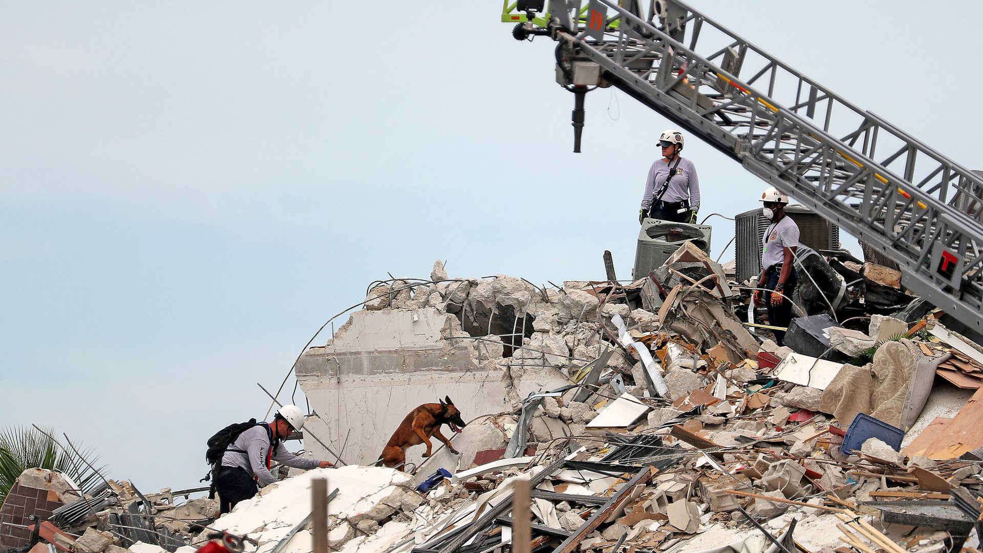 Firefighters work alongside K-9 units while searching the rubble of the Champlain Towers South Condo.