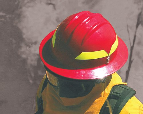 Bullard Website Wildland