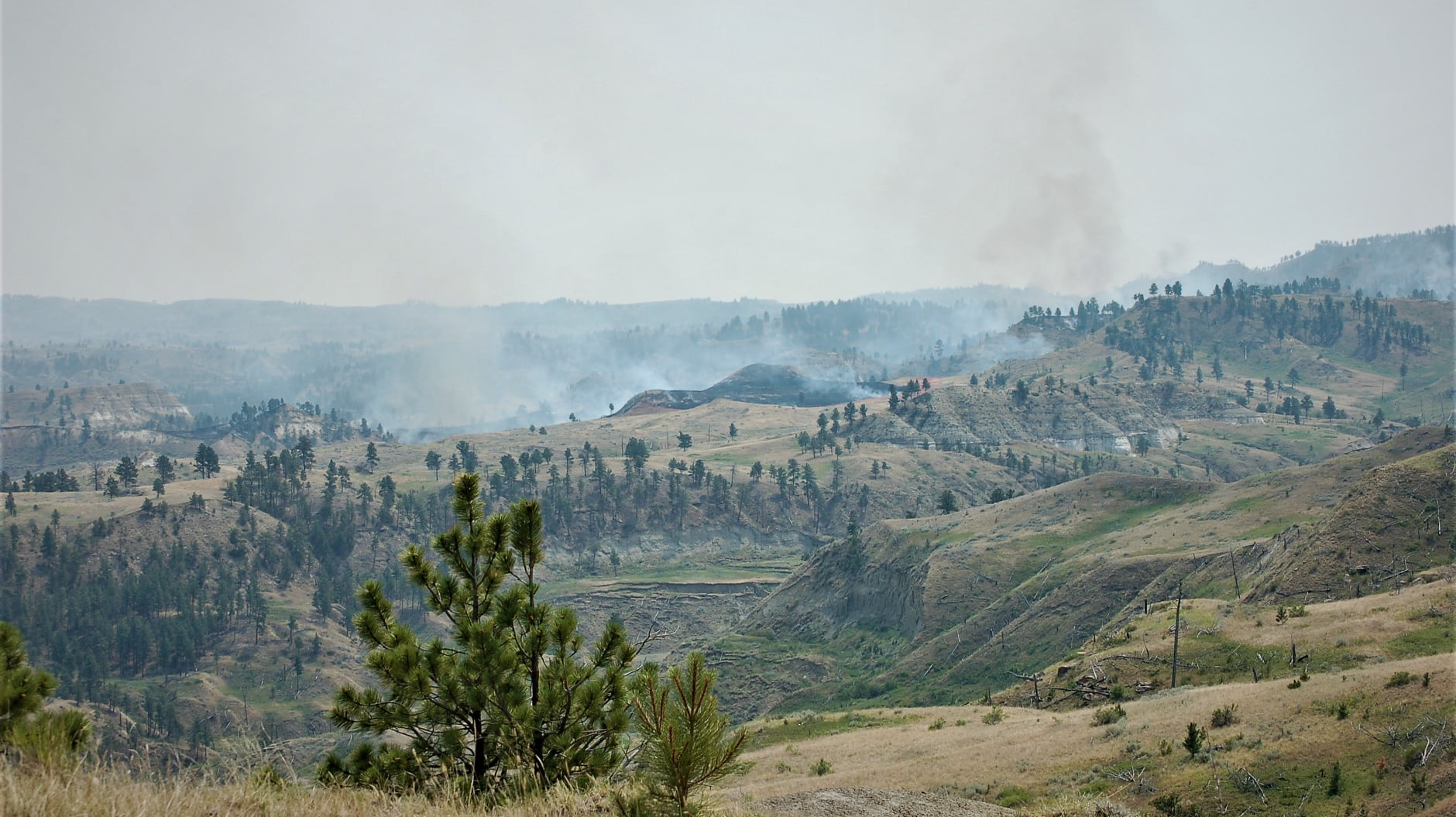 Five federal firefighters were hospitalized in stable condition after they were injured battling the Devil's Creek Fire in Garfield County, MT, on Thursday.