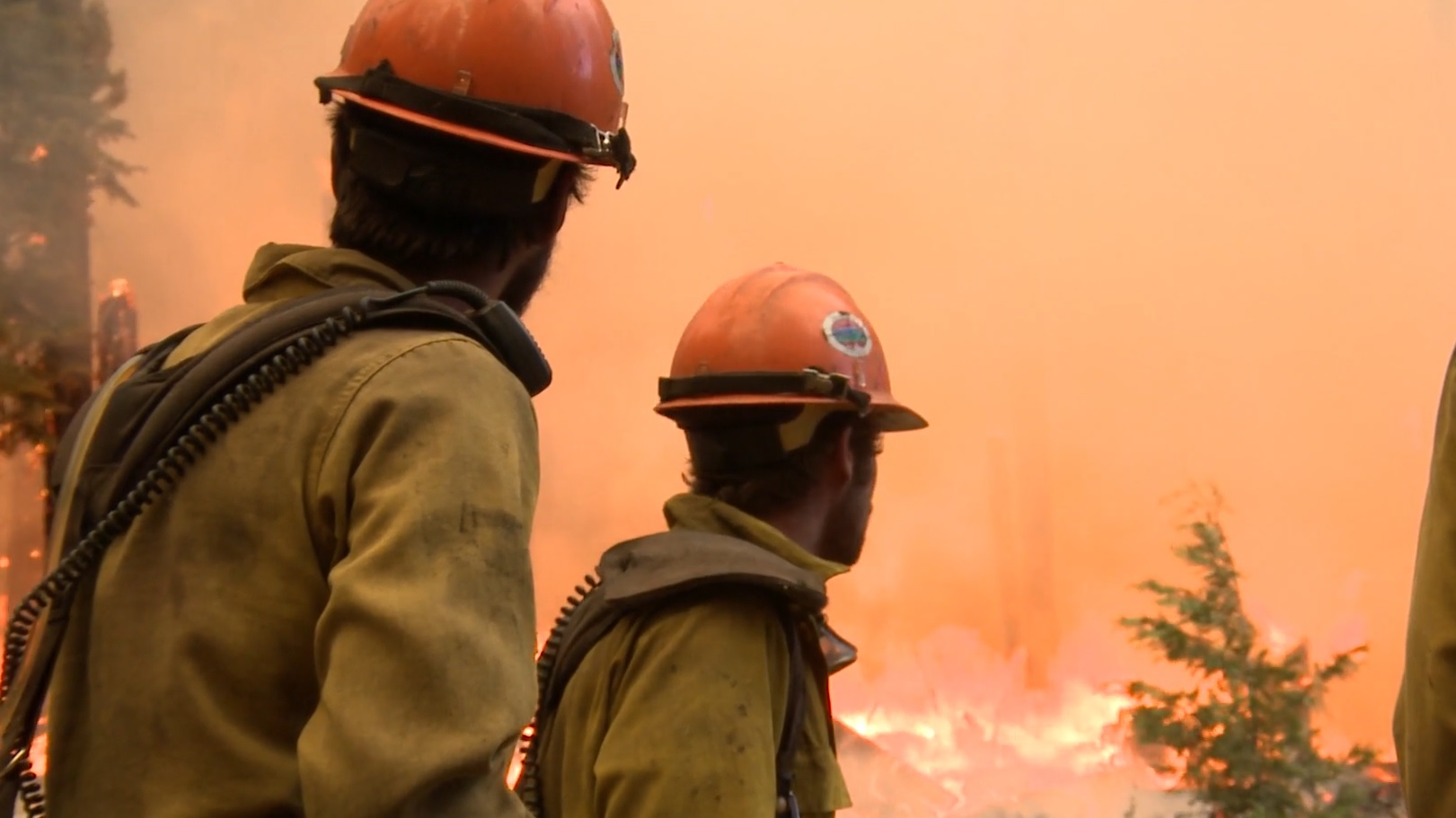 Usda Screenshot 6189292b87283