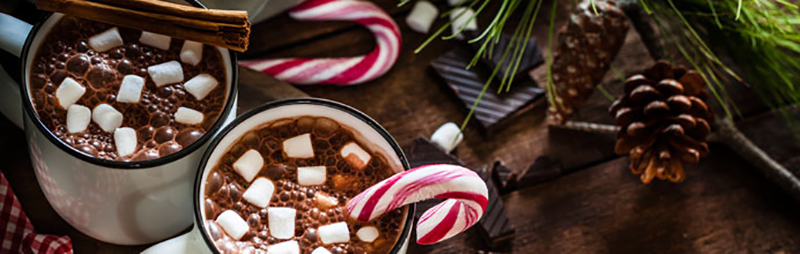 Winter Holiday Banner