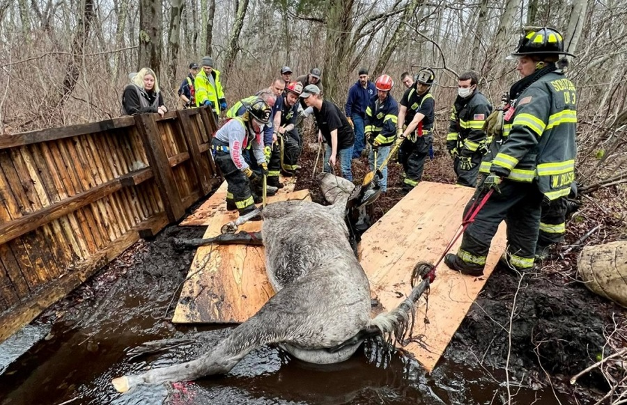 Southard Fire Dept. No.1 and mutual aid crews worked with a veteranarian to free a horse stuck mud.