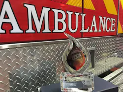 Cfsi com Img 0261 Cfsi com Img 0261