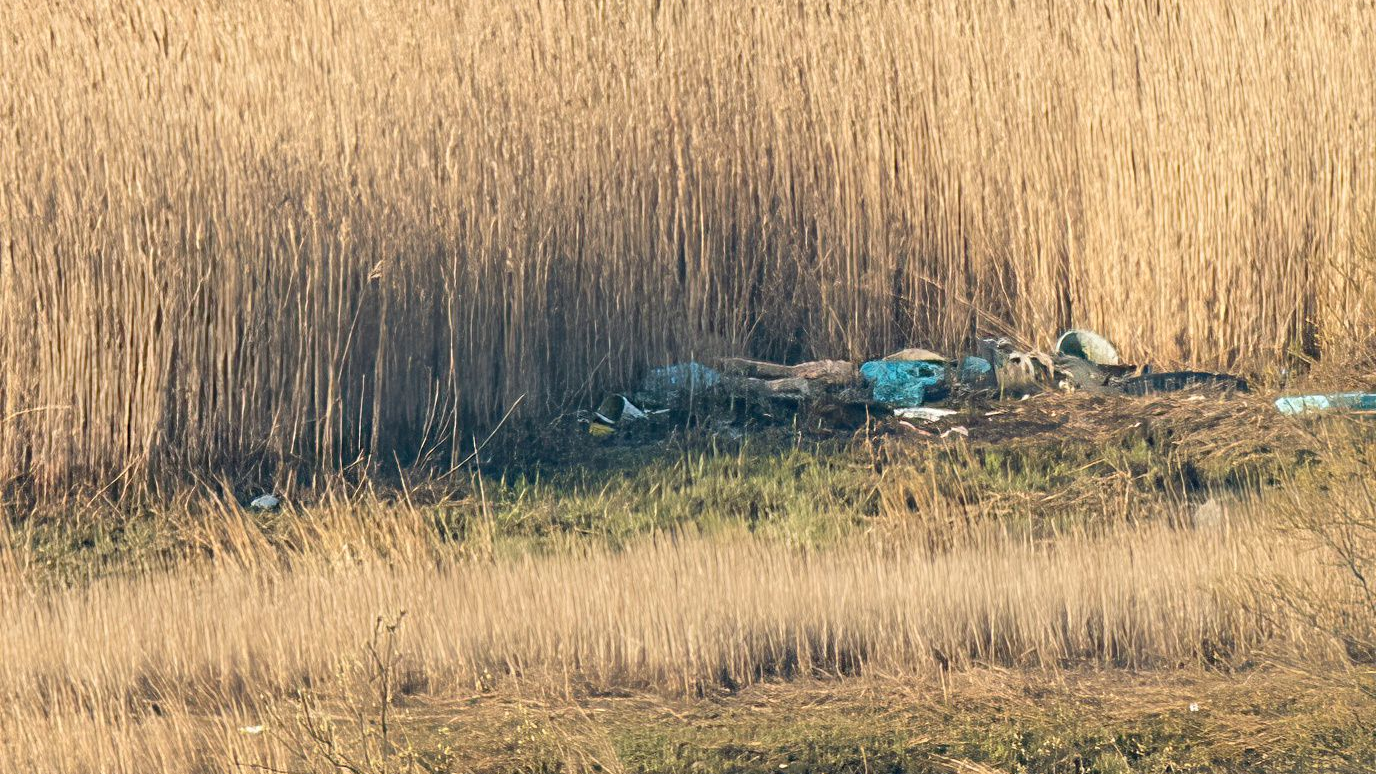 A man was found dead early Sunday after a brush fire tore through his Brooklyn homeless encampment, NYPD officials said.