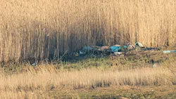A man was found dead early Sunday after a brush fire tore through his Brooklyn homeless encampment, NYPD officials said. A man was found dead early Sunday after a brush fire tore through his Brooklyn homeless encampment, NYPD officials said.