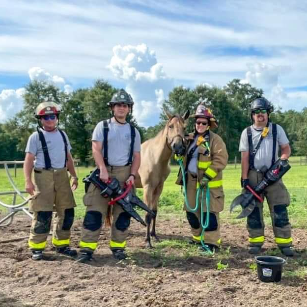 Walton295314273 420879243409410 3770800970934152911 N 62e7cb56e3722