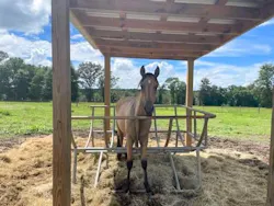 Walton County Fire Rescue, Florida Facebook296374143 420879213409413 4093023813880747109 N Walton County Fire Rescue, Florida Facebook296374143 420879213409413 4093023813880747109 N