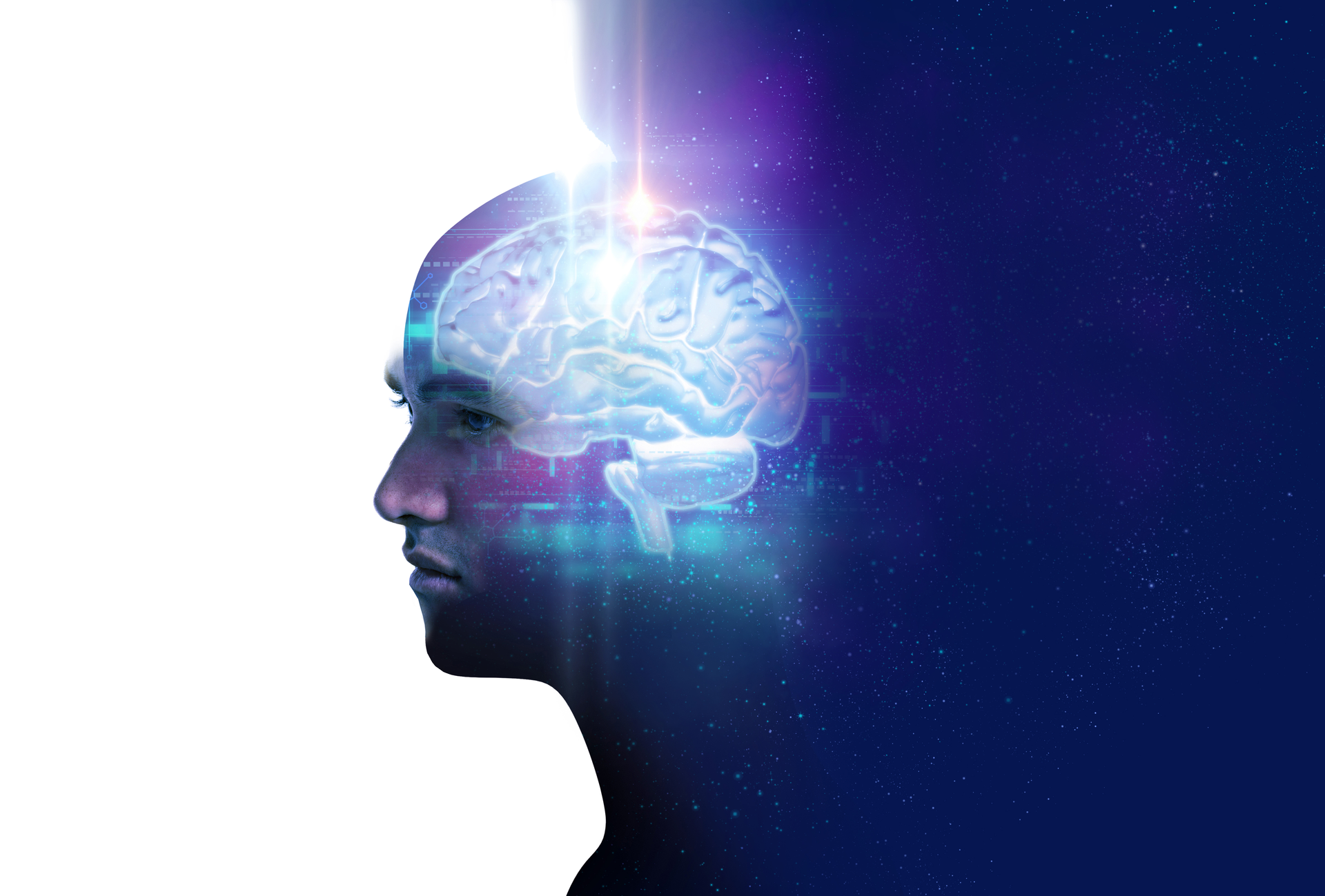 Brain Copy 6318e1dd231ae