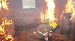 Ff Picture 1 Ff Picture 1