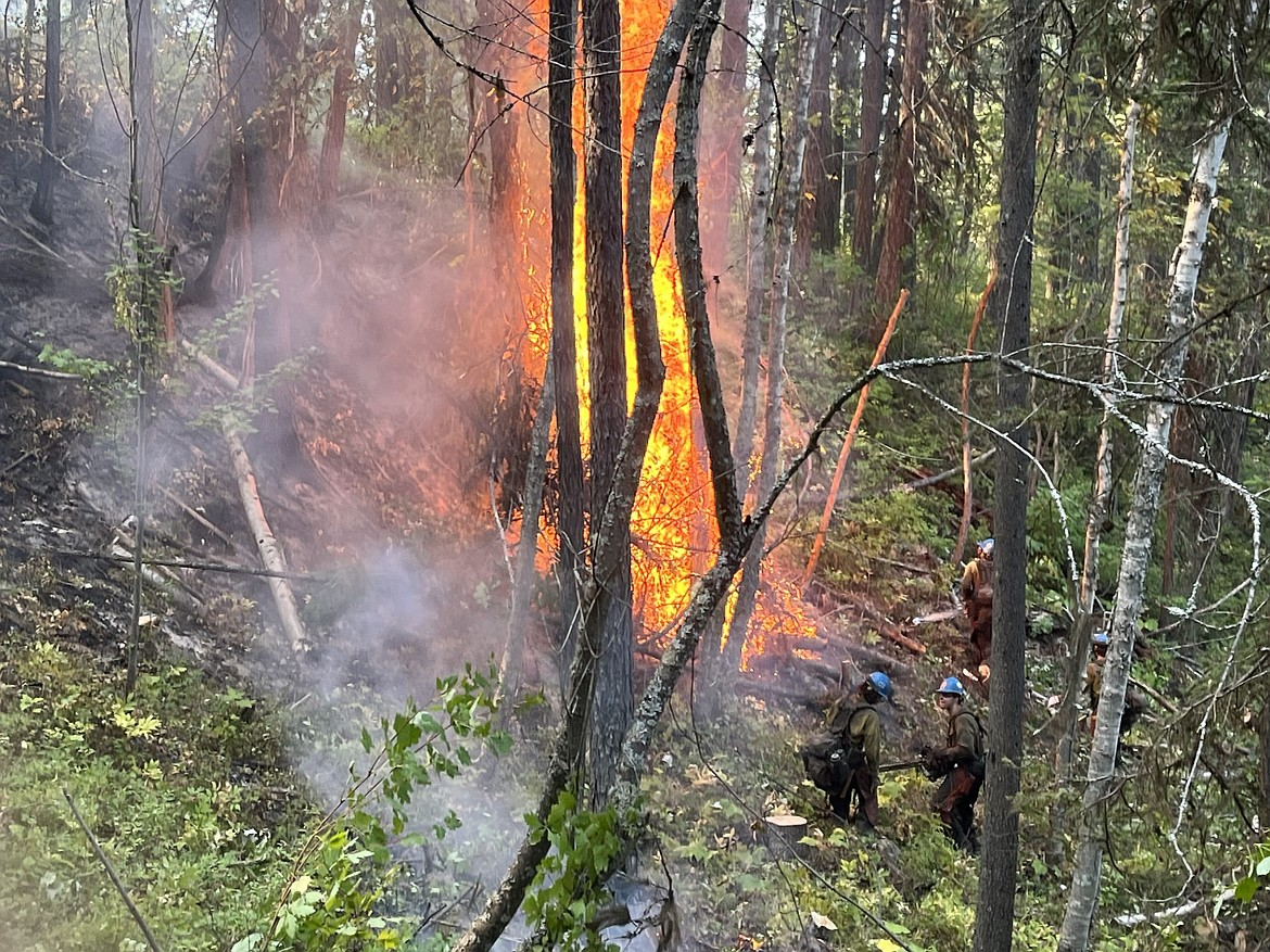 Hotshots work at the Ridge Fire last week in Flathead National Forest.
