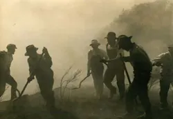 Several of the workers were tasked with fighting the fire before Los Angeles firefighters arrived, but a change in wind pushed the fire back toward the workers. Several of the workers were tasked with fighting the fire before Los Angeles firefighters arrived, but a change in wind pushed the fire back toward the workers.