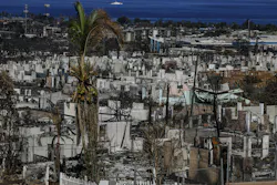 The after-action report on the deadly Maui wildfire is delayed. The after-action report on the deadly Maui wildfire is delayed.