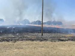 The Quail Hollow wildfire was blamed on the flaming carcasses of electrocuted birds. The Quail Hollow wildfire was blamed on the flaming carcasses of electrocuted birds.
