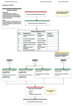 Figure 1: Sedation Assessment Tool incorporated into protocol with ketamine and midazolam. Figure 1: Sedation Assessment Tool incorporated into protocol with ketamine and midazolam.
