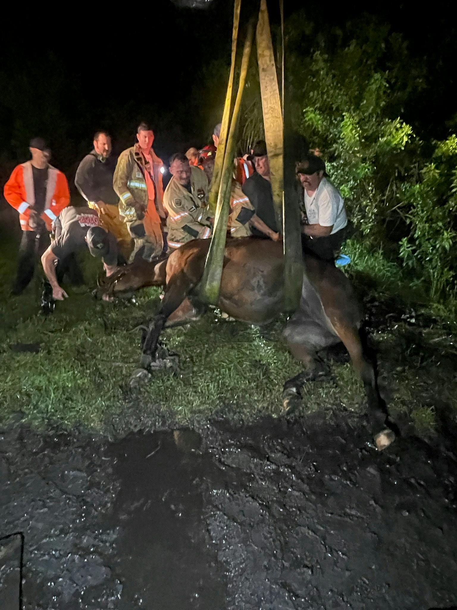 The training better equip personnel with the skills needed for animal-related emergencies (e.g., horses, cattle) in Seminole County, especially in rural areas.