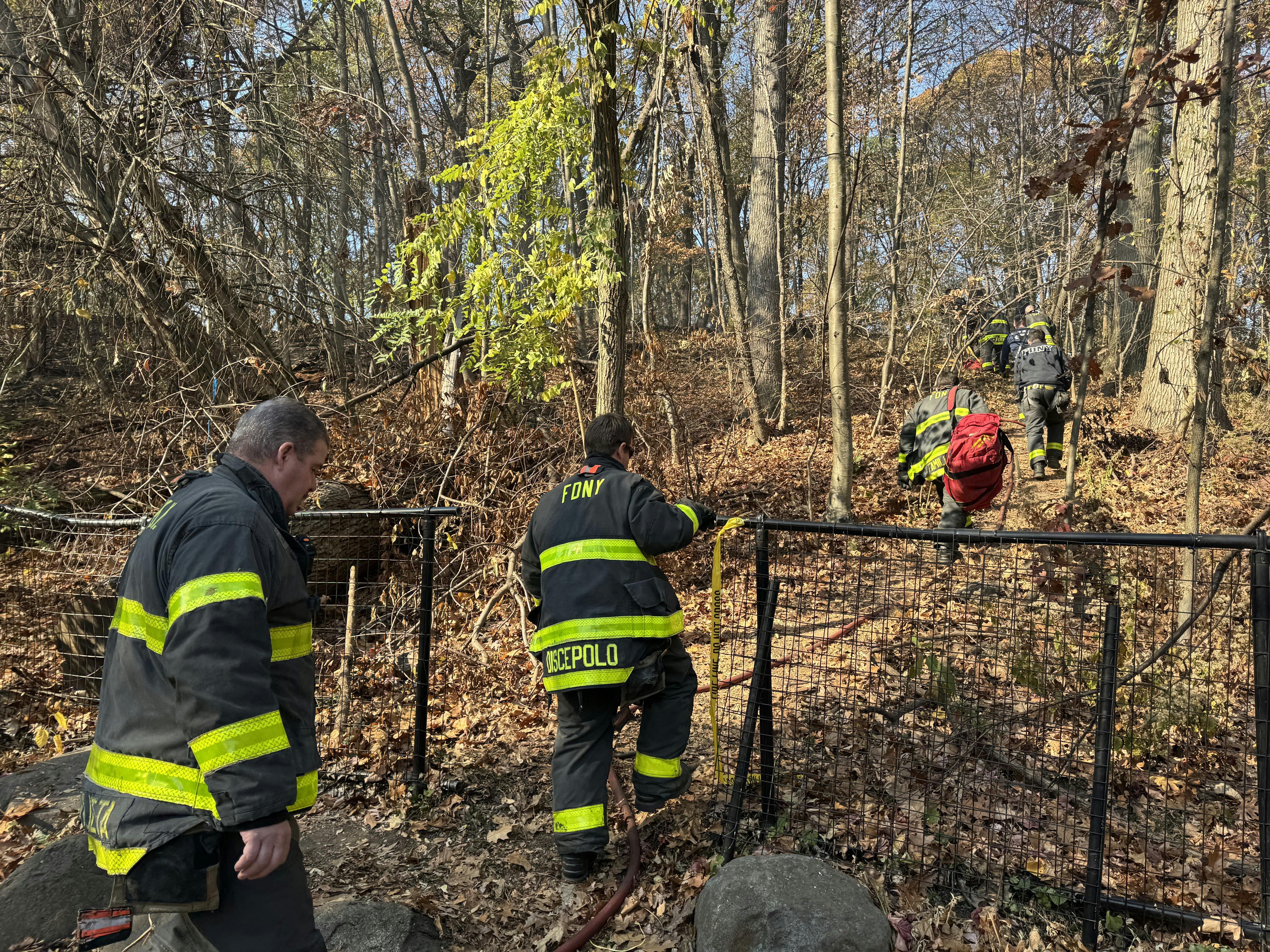 FDNY firefighters work in Prospect Park in the borough of Brooklyn. Days earlier, firefighters were called to a brush fire in the park during a severe drought.