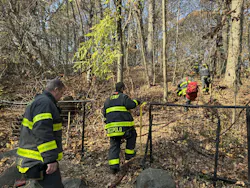 FDNY firefighters work in Prospect Park in the borough of Brooklyn. Days earlier, firefighters were called to a brush fire in the park during a severe drought. FDNY firefighters work in Prospect Park in the borough of Brooklyn. Days earlier, firefighters were called to a brush fire in the park during a severe drought.
