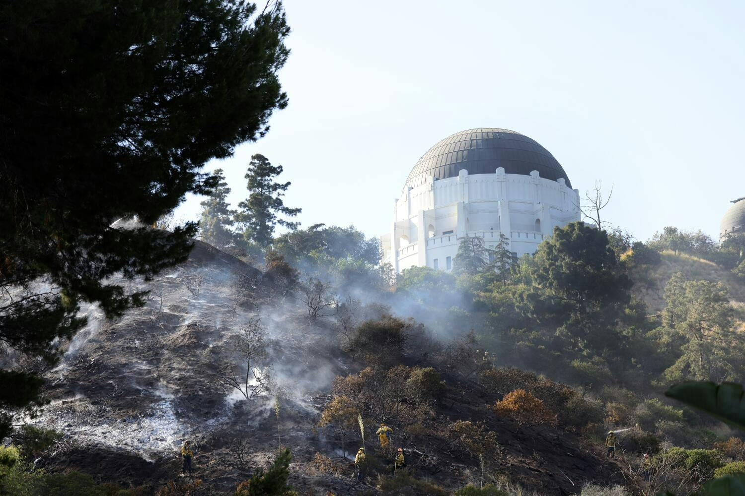 A hillside near Griffith Observatory caught fire in 2022.