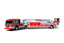 69987d852b9cafe1b5857b72 3950131200178881 Sltda105 69987d852b9cafe1b5857b72 3950131200178881 Sltda105