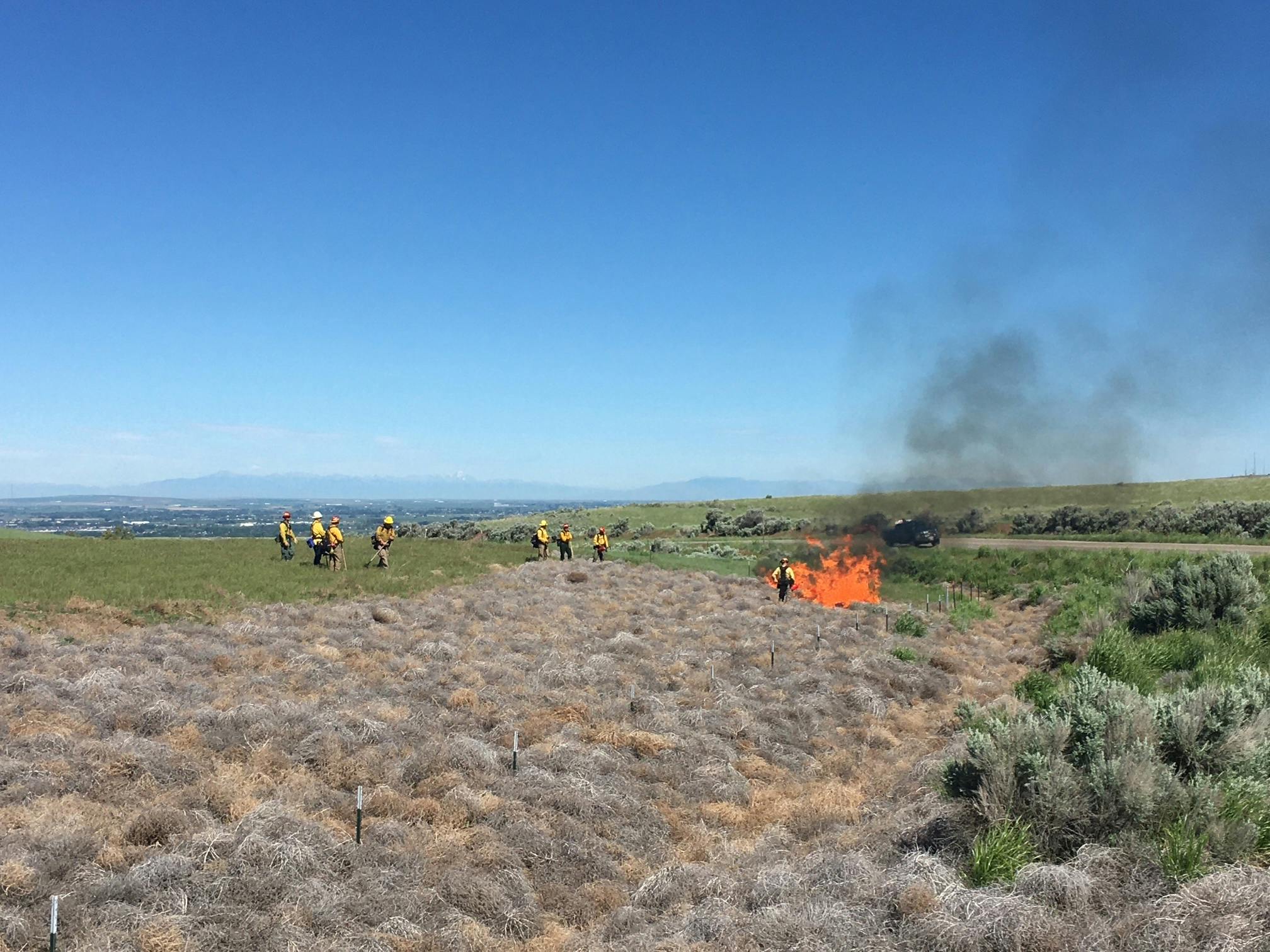 Local, state and federal firefighters perform prescribed fire for vegetation management in renewable energy fields prior to primary fire season in southeast Idaho. Decreasing tumble weeds prior to fire season decreases the threat of significant wildfire growth and provides training, and interagency cooperation.