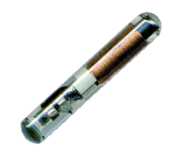 1. Ampuole (glass) Transponder 1. Ampuole (glass) Transponder