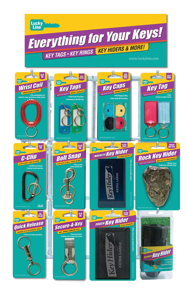 Starter Wall Display